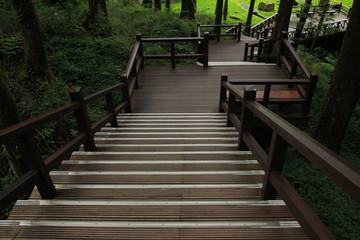 Obraz premium beautiful wooden walkway in Alishan National Forest Recreation Area in Chiayi County, Alishan Township, Taiwan