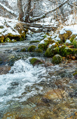 mountain river in winter
