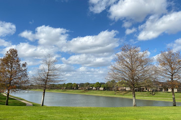 lakeside riverbank on a sunny day