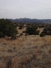 View of Big Bend National Park in the Spring