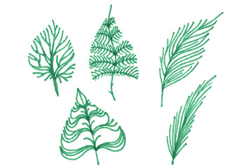 A set of botanical design elements. Five green leaves