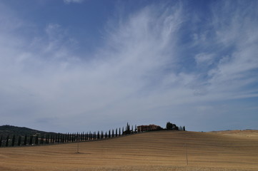 Fototapeta na wymiar campagna Toscana colline colli
