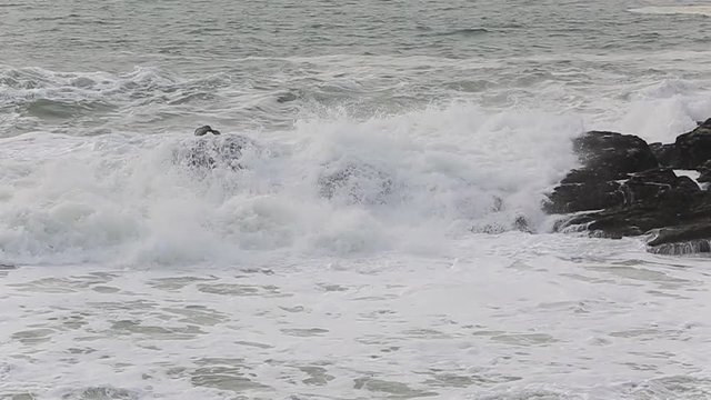 Footage of powerful waves in North of France in Brittany close to Point du Talud.