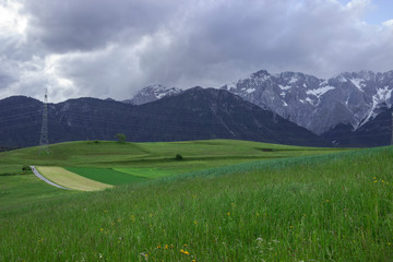 Green meadow in the Alps