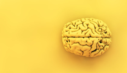 minimal yellow brain