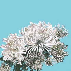 flowers on blue background