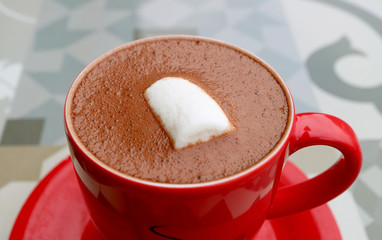 Closeup a Cup of Mouthwatering Hot Chocolate with Marshmallow