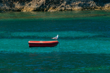 Möwe Kroatien Bisevo Boot Ruder Silbermöwe rot türkis Mittelmeer Adria klar Fischer Idyll Dalmation Urlaub Ferien mediterran Wasser Hvar Brac Idyll