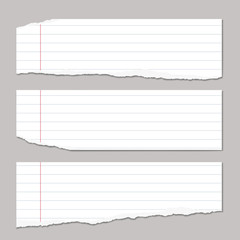 Torn white lined note, notebook paper pieces stuck on grey background. Vector illustration