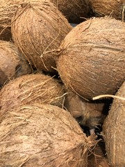 coconuts on a black background