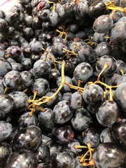 fresh collected wine grapes 