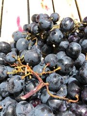 purple grapes on a wood background 