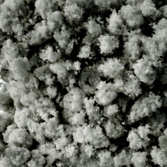 Cloud isolated, steam, smoke. 3d illustration, 3d rendering.