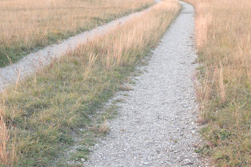 a path of stone in the grassland