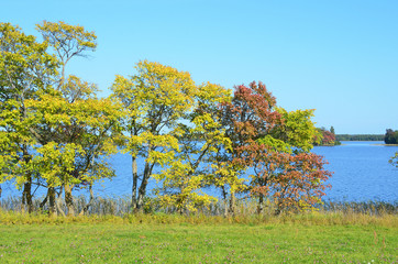 Fototapeta premium Russia, Karelia. The store of lake Onega in autumn in Kizhi
