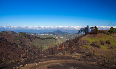Gran Canaria, December