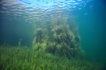 Fototapeta na wymiar lake underwater landscape abstract / blue transparent water, eco nature protection underwater