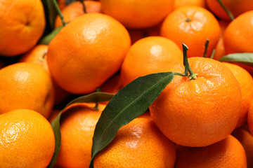 Fresh ripe tangerines with leaves as background, closeup. Citrus fruit