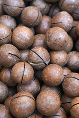 Macadamia nuts in shell for food texture