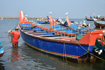 Fototapeta na wymiar Retour de la pêche à Cochin, Inde du Sud