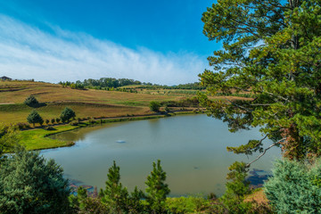 Pond at a apple orchard