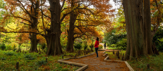 Woman in a Japanese garden in Tokyo