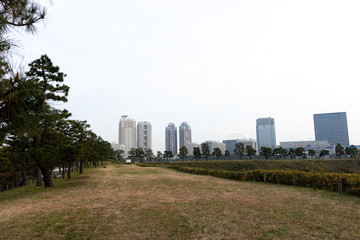 Fototapeta premium 東京お台場の台場公園の風景