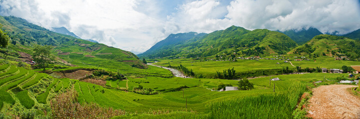 Obraz premium Rice paddies in Vietnam