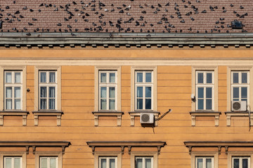 Old Style Orange Painted Building With Pigeons on The Roof