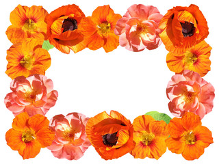 Beautiful floral frame of poppies, roses and nasturtium. Isolated