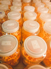 Cordyceps militaris in glass bottles at herbal farm  within light and temperature control room....