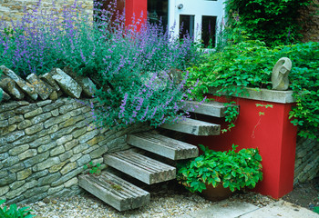 Feature walls in garden with wooden  steps and catmint