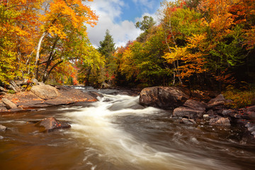 A rushing stream through fall foliage in Algonquin, Ontario, Canada - obrazy, fototapety, plakaty