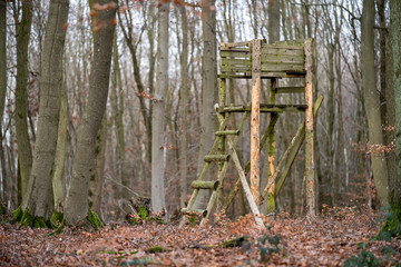 Hochsitz im Wald