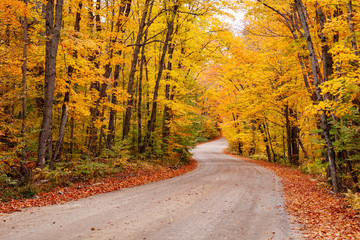 An unpaved road winds its way through the forest during fall in Algonquin Park, Ontario, Canada