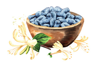 Bowl of Honeysuckle berries and branch of honeysuckle flowers. Watercolor hand drawn illustration, isolated on white background
