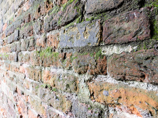 Full frame old red brick wall with moss