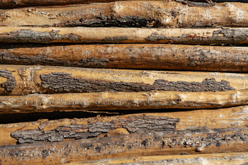 A stack of felled trees, horizontal position. Wooden background made of logs.