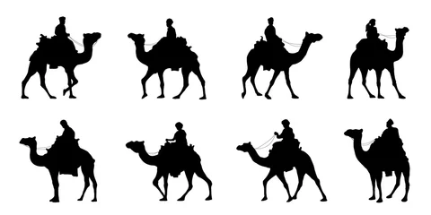 Foto op Plexiglas camel riders silhouettes © jan stopka