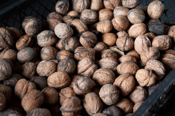 walnut on a black wooden background still life, walnut