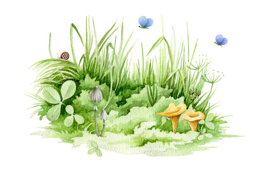 Easter green grass with cute mushrooms and butterflies close up watercolor illustration. Lush spring grass - meadow element. Background with clover,  fresh herbs and natural plants.