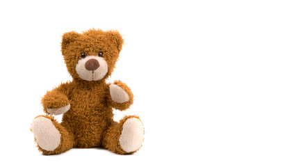 soft toy bear on a white background