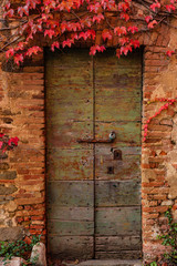 Building and ivy in autumn