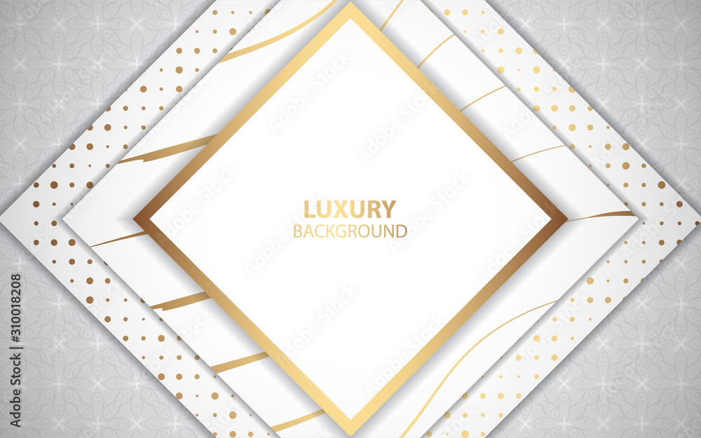 Poster modern abstract light silver background vector. elegant shape design with golden line. luxury vector
