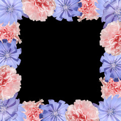 Beautiful flower background of chicory and carnation. Isolated