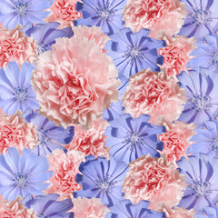 Beautiful flower background of chicory and carnation. Isolated