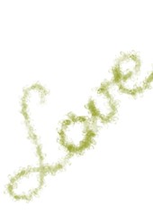 Love green handwritten text raster. Lovely word illustration on white background. Type ivy twig texture abstract for Valentines day, wedding invitation, print, t shirt design, calligraphy graphic card