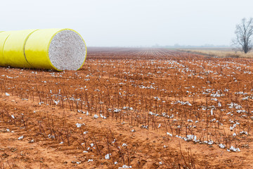 Huge bales of cotton after the harvest and ready for market