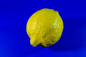 Sicilian lemon on a classic blue background