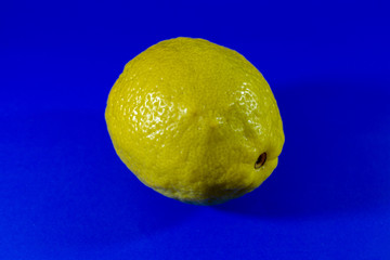 Sicilian lemon on a classic blue background